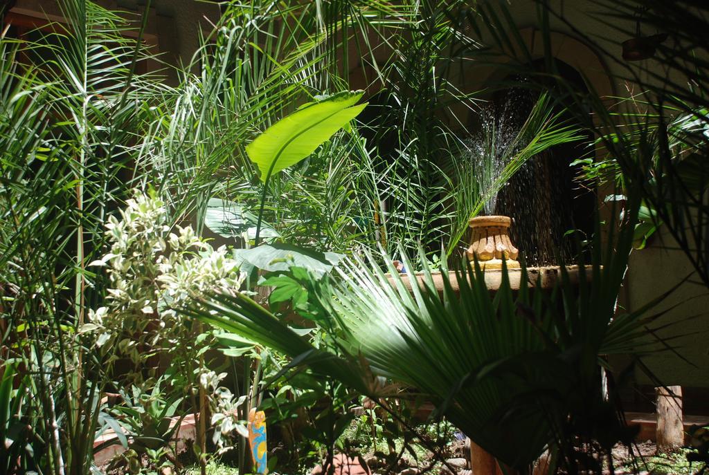 אסאוירה Riad Arambys מראה חיצוני תמונה