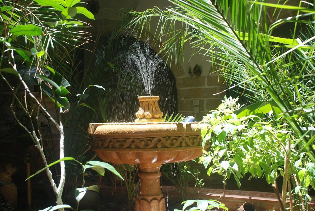 אסאוירה Riad Arambys מראה חיצוני תמונה